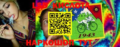 шишки Можайск