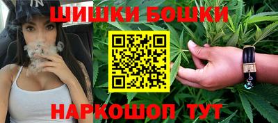 прущие грибы Можга