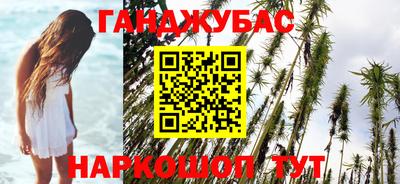 прущие грибы Можга